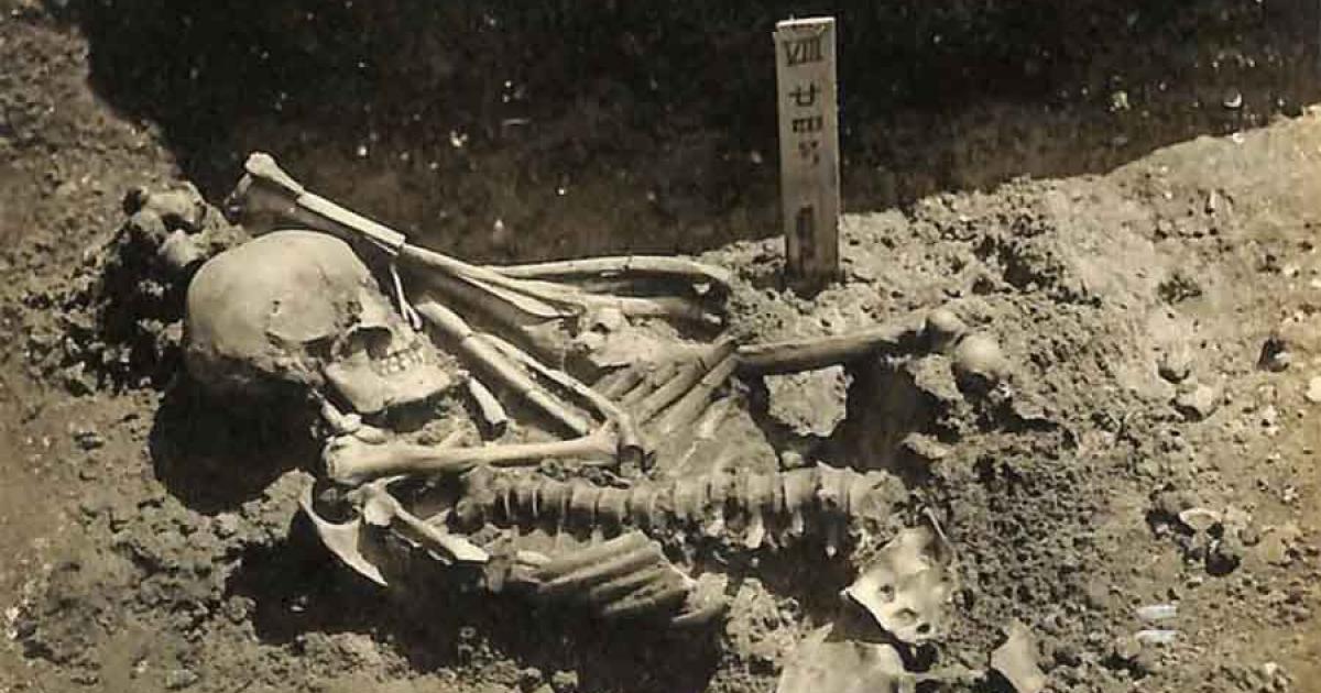 It wasn't until nearly 100 years after Tsukumo No. 24's excavation that a cause of death was finally assigned, which was death by shark attack! The Jomon-era Japanese man is now the oldest ever known shark attack victim.