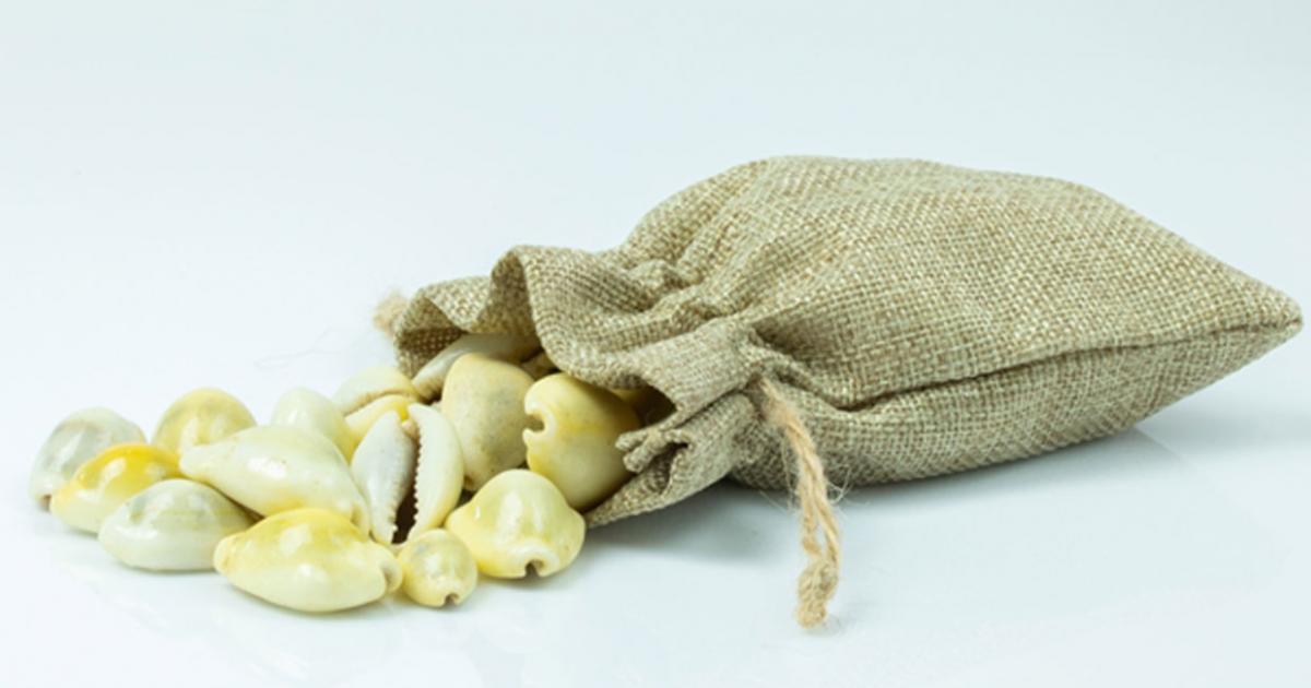 Cowrie shell money. Source: tradol / Adobe.