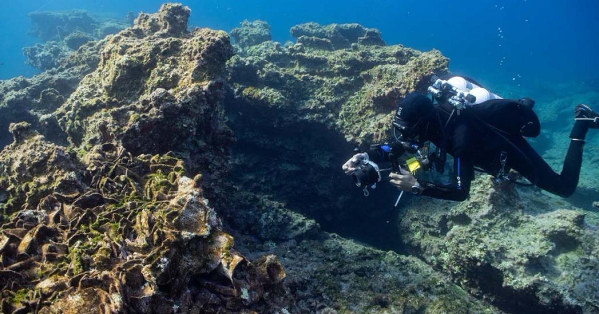 Three Ancient Shipwrecks Still With Cargo Found Off Greek Island