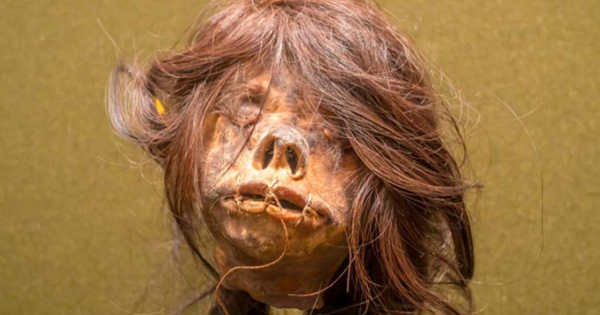 “International” Shrunken Head From Ecuador Returns Home