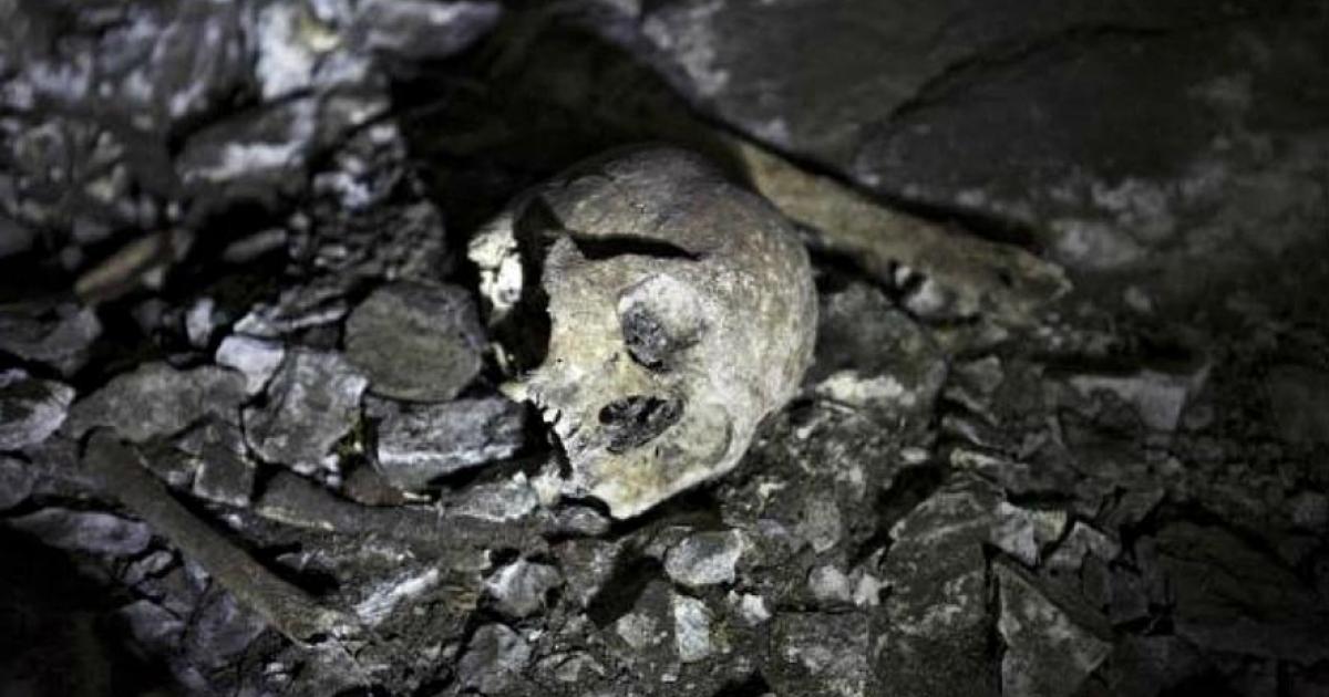 Some of the skeletal remains discovered at the site. 