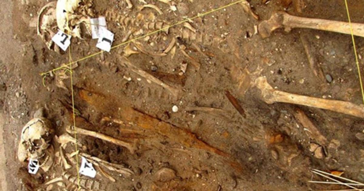 Some of the skeletons found on one of the two Viking ships. 
