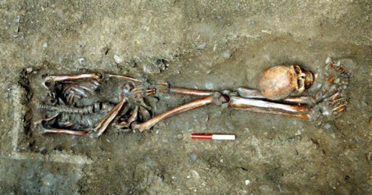 One of the skeletons excavated by York Archaeological Trust at Driffield Terrace had his head positioned near his feet. 