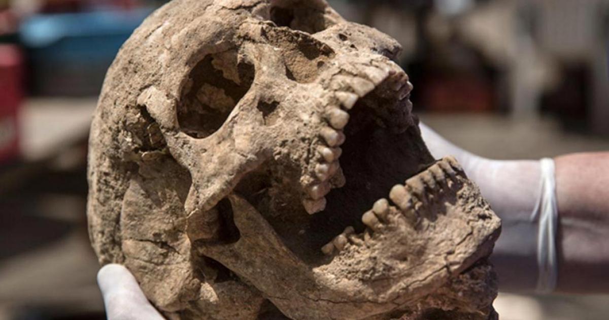 Human remains buried almost 3,000 years ago in southern Israel may help researchers finally solve the mystery of the Philistines' origins.
