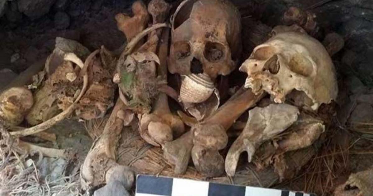 Strange Discovery Made in Mexican Cave, Including Mummified Macaw, Baby and Adult Remains