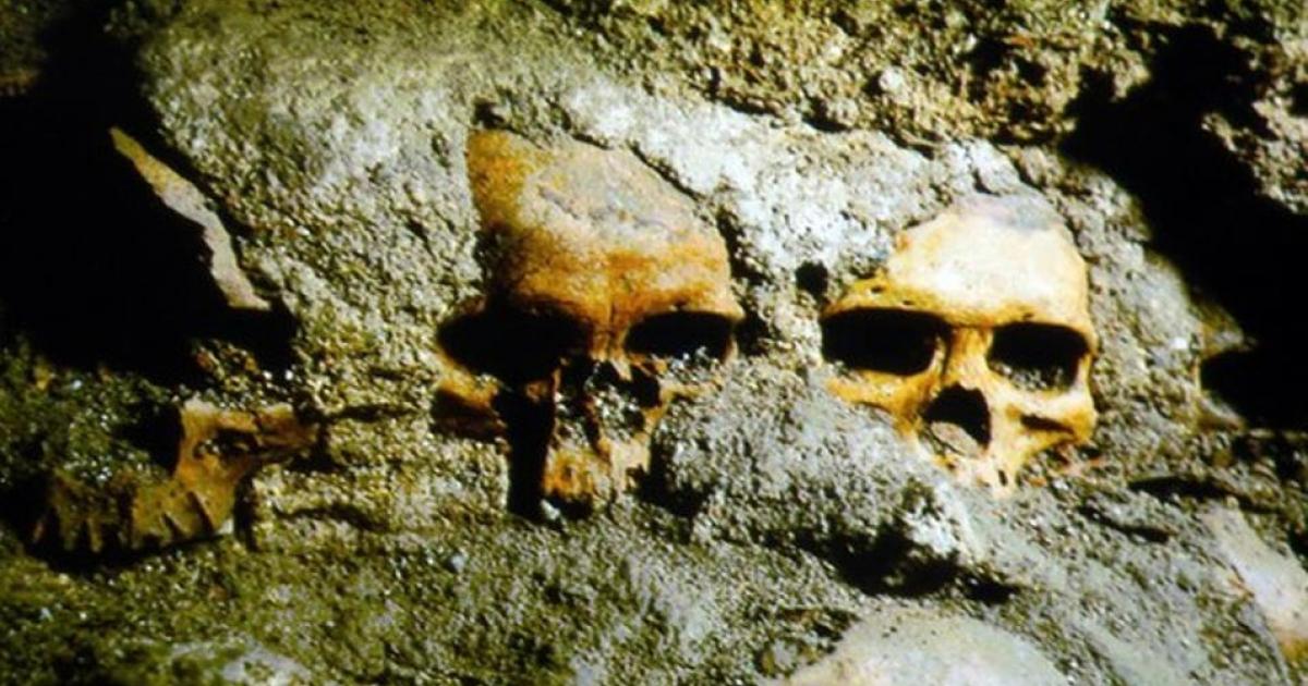 Newly discovered skulls at the Templo Mayor complex in Mexico.