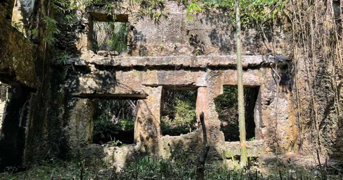 Praia Melão, a sugar mill and slavery plantation, situated on São Tomé, stands as the primary focus of archaeological exploration on the island.	Source: M.D. Cruz/Antiquity Publications Ltd