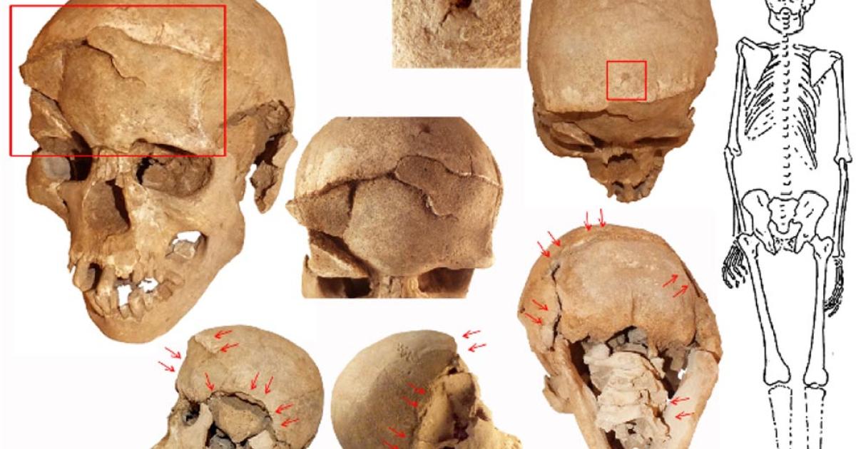 One of the smashed skulls from Lake Nataruk, Kenya.