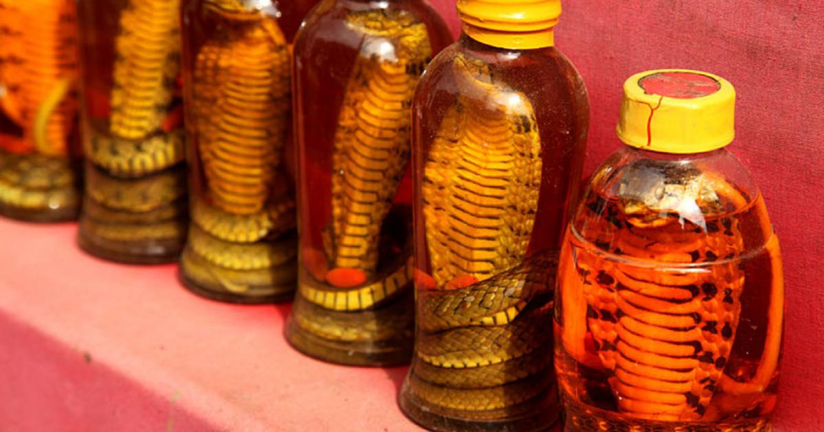Snake oil in Sapa.