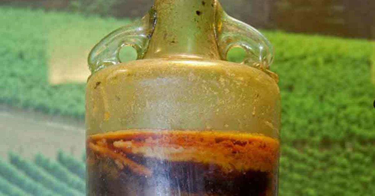 Detail of the 1650-year-old Speyer wine bottle. Source: Wines of Germany