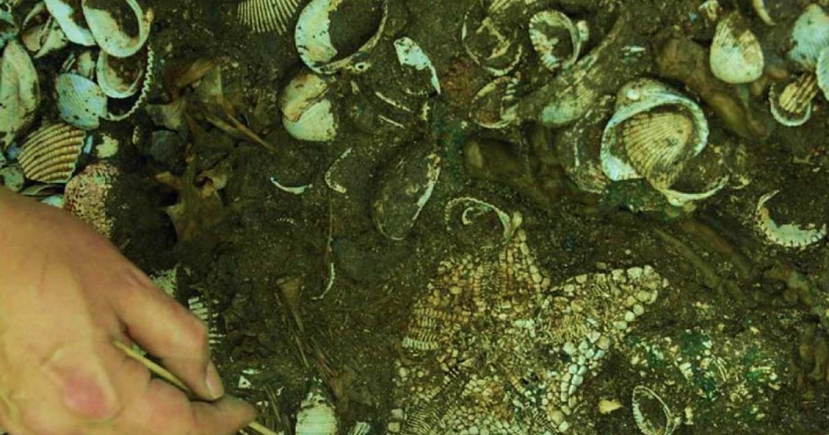 The largest Aztec starfish altar was found last year in the biggest temple, Templo Major, in the ancient city of Tenochtitlán (Mexico City) along with jaguar bones and countless seashells.		Source: INAH