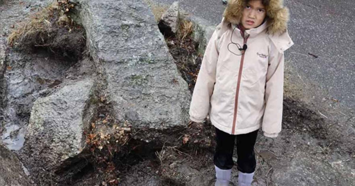 Elise, an 8-year-old student, found the Neolithic stone dagger while playing near her school in Norway.           Source: Vestland County Municipality