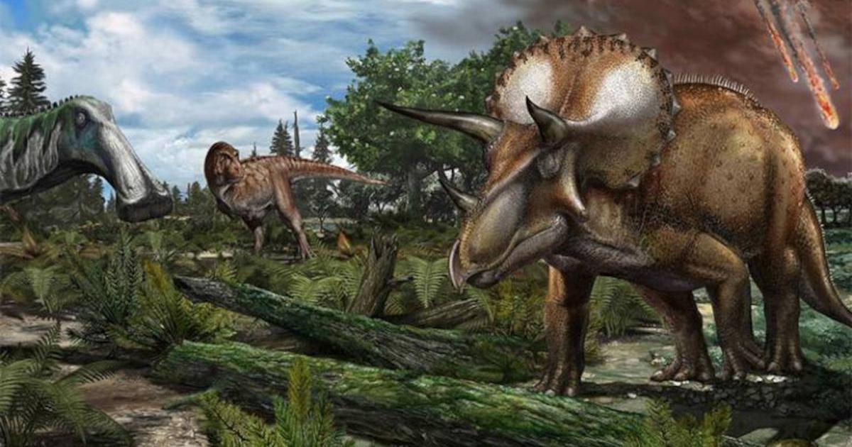 Reconstruction of a late Maastrichtian (~66 million years ago) palaeoenvironment in North America, where a floodplain is roamed by dinosaurs like Tyrannosaurus rex, Edmontosaurus annectens and Triceratops prorsus.