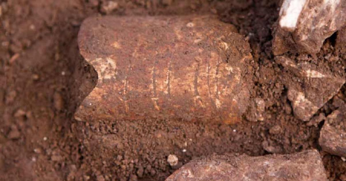 Lines On A Wild Cow Bone May Be 120,000-Year-Old Symbols