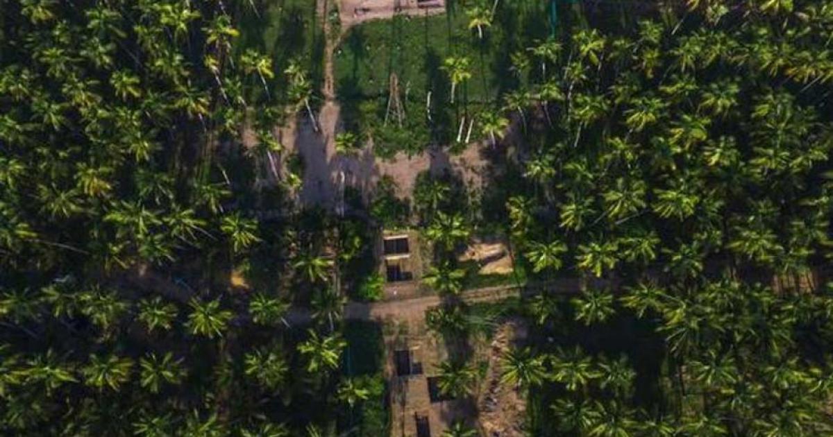 Aerial view of the excavations at Keezhadi, an archaeological site in Tamil Nadu which is re-writing Indian pre-history. Source: Jothi Ramalingam