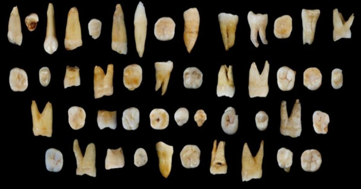 The teeth found in the Fuyan Cave, located in southern China, in Daoxian, Hunan Province.