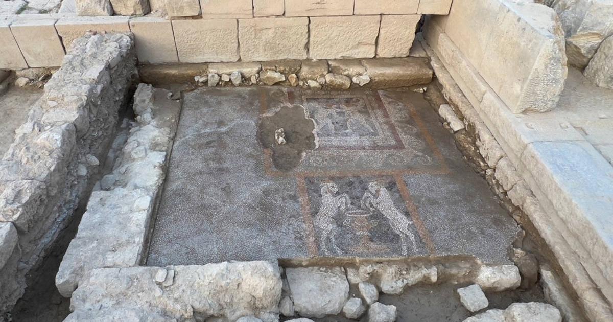 Mosaics uncovered during excavations in Teos, one featuring Dionysian imagery.