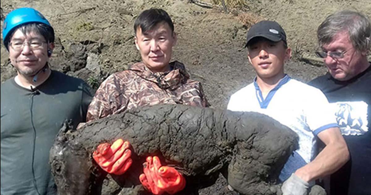 Clipety-clop! The Upper Paleolithic foal held by Semyon Grigoryev, head of the Mammoth Museum.