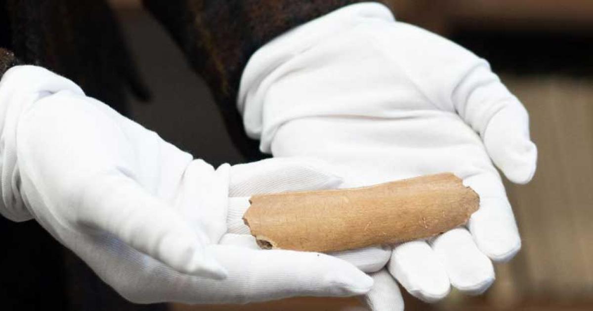 The fragment of a longer cow bone found by the Czech grad student, on which ancient runic letters were inscribed. 