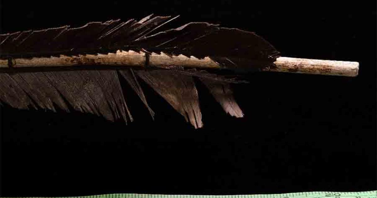 6,000-Year-Old Yukon Throwing Dart Was Made Using Beaver Secretion