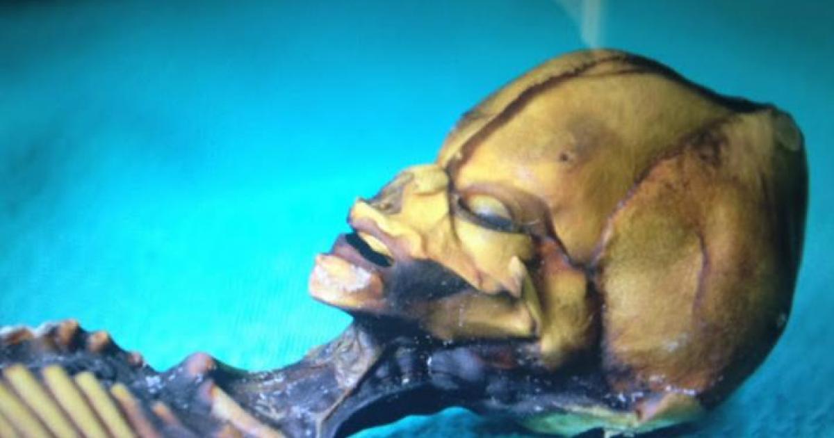 Tiny Alien Sirius