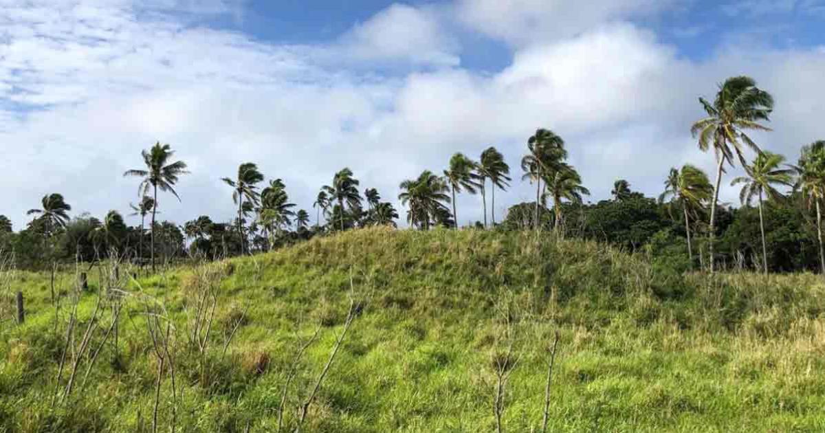 Earth structures were being constructed on Tongatapu around AD 300. Source: Phillip Parton/ANU