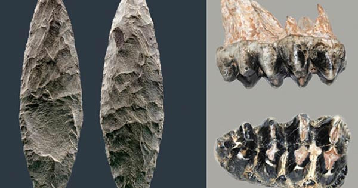 Tools of Pre-Clovis Inhabitants