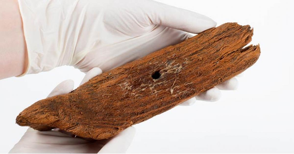 Some child likely played with this carved wooden boat a thousand years ago. It was found in an abandoned well during an extensive archaeological dig at the Ørland Main Air Station, on the coast west of Trondheim.