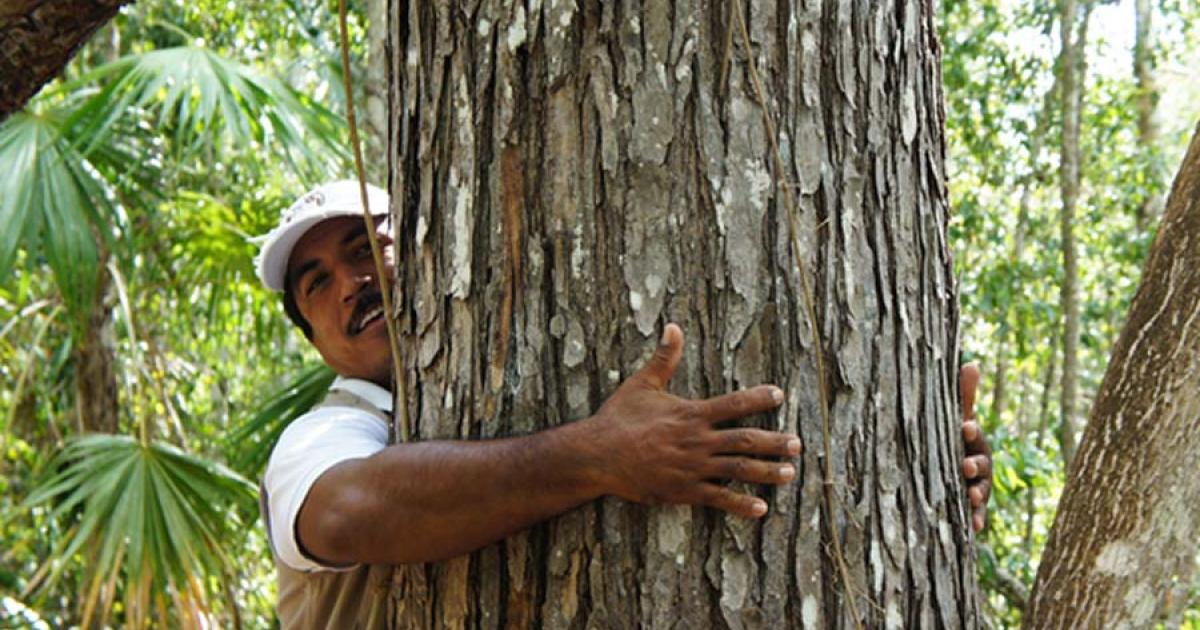 Tree huggers are both a current form of environmental activism and one that has been used effectively in the past in places like India.		Source: Carolina Hoyos Lievano / World Bank