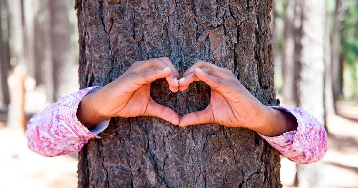 Tree-hugging has its ancient roots in environmental activism. Source: warnerbroers / Adobe Stock