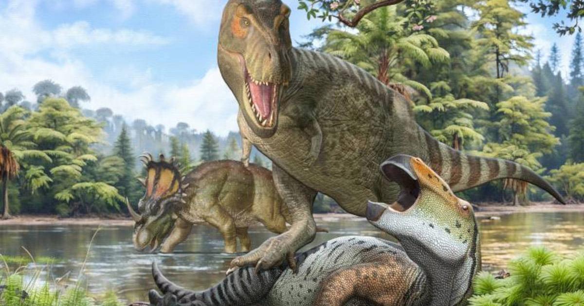 Image of Tyrannosaurus Rex on the prowl in ancient North America.