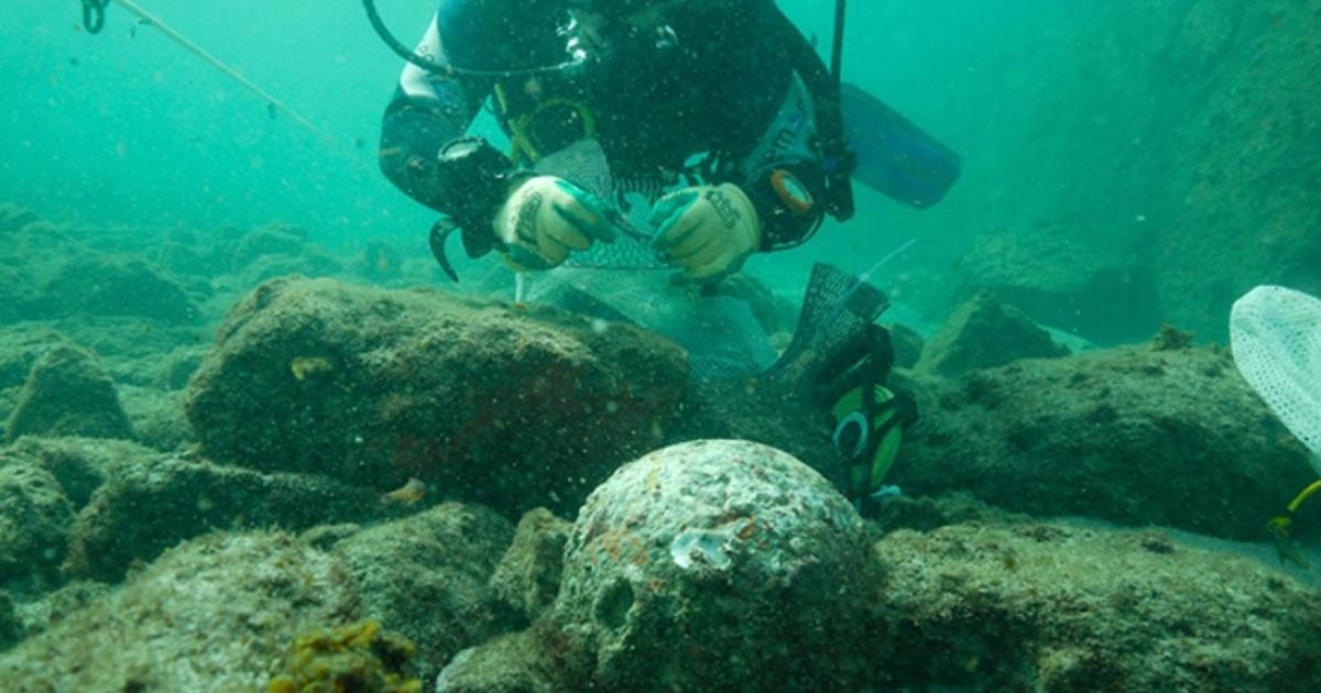 The underwater archaeologists found dozens of cannonballs at the wreck site. 