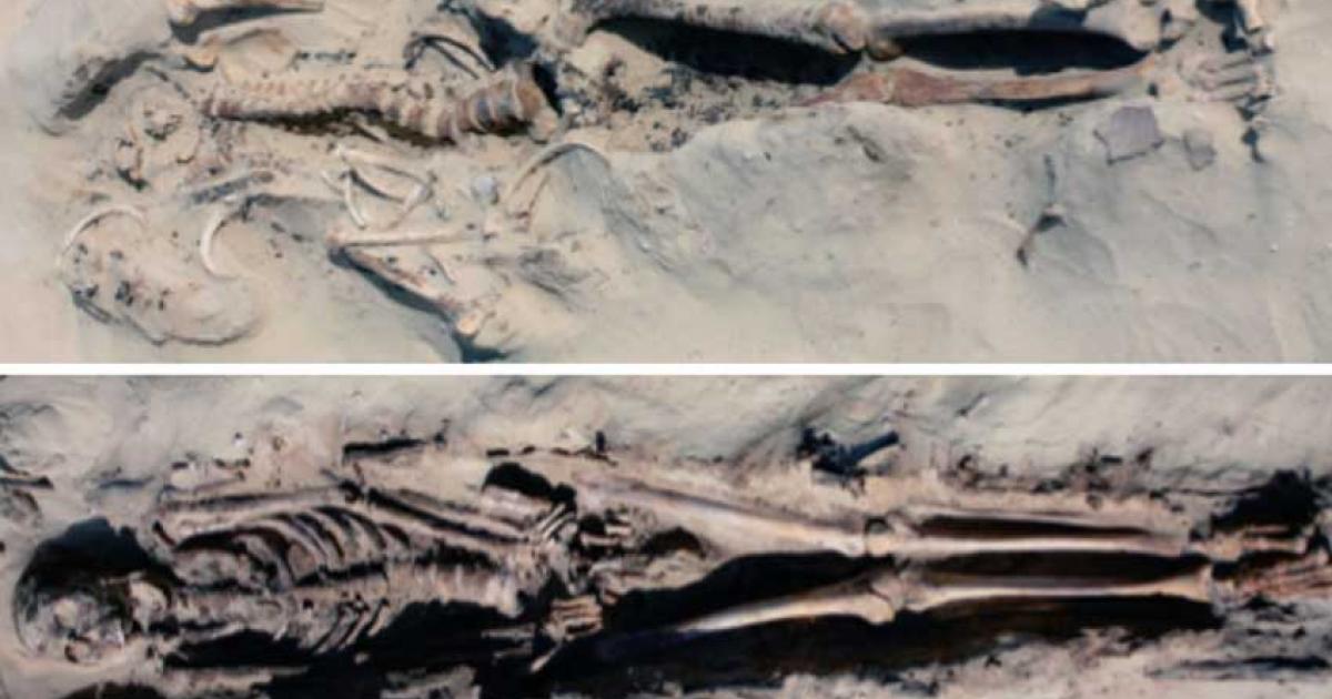 An undisturbed skeleton of a man in the extended, supine posture typical at the cemetery; and the burial of a man with a common pattern of disturbance in which the upper torso has been jumbled by robbers and the skull removed. 
