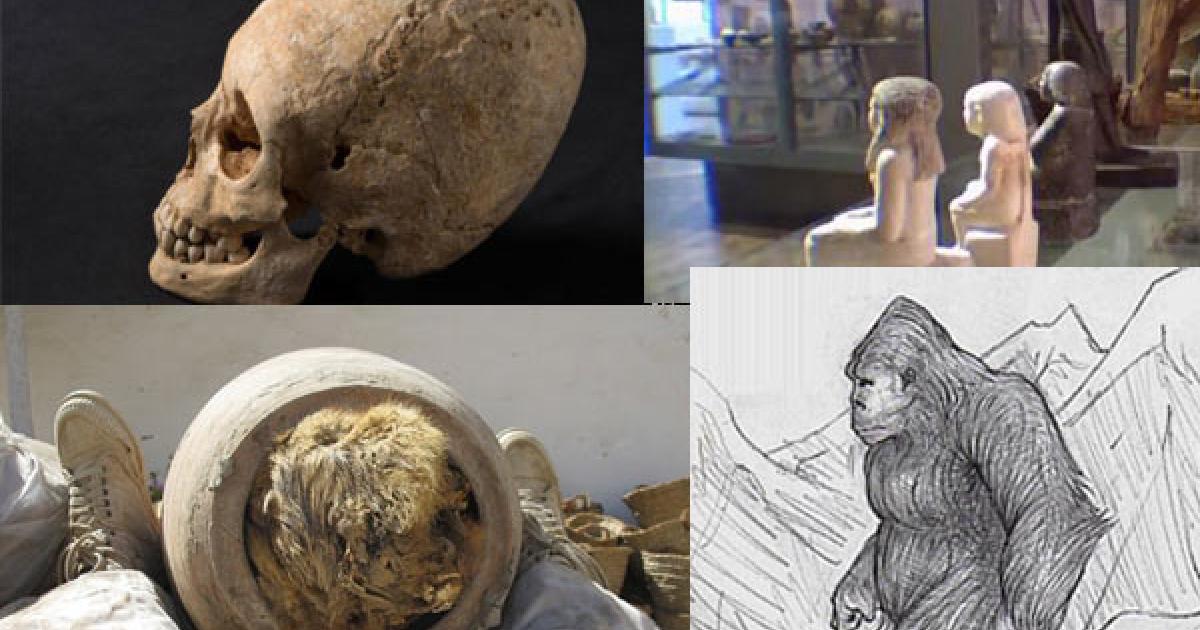 Unusual Discoveries 2013