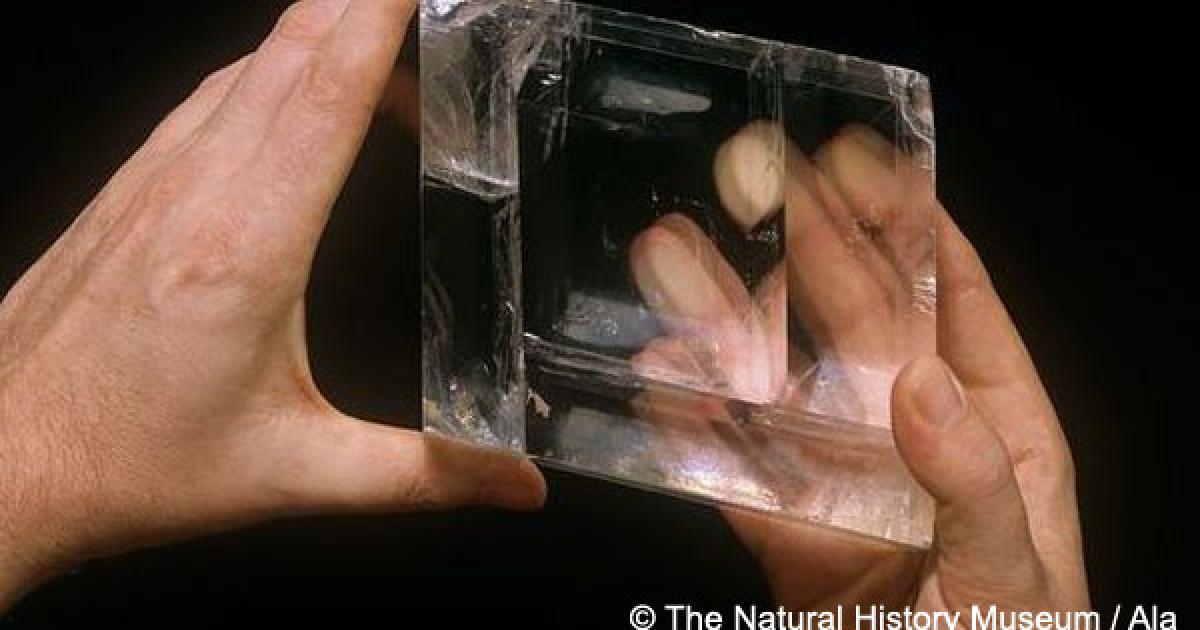 Viking Navigation Crystal