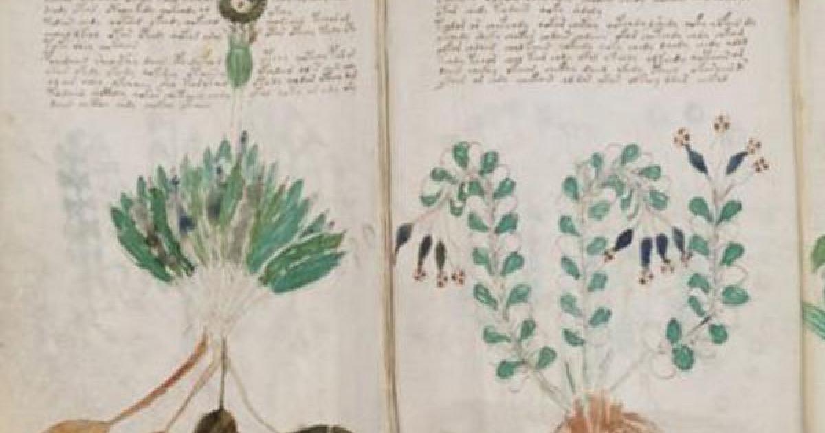 Voynich Manuscript