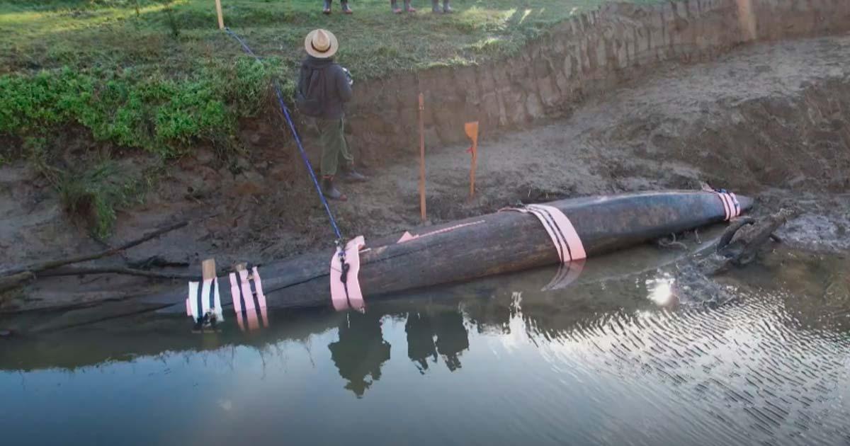 Screenshot of recently discovered traditional waka canoe. Source: Screenshot/1 News