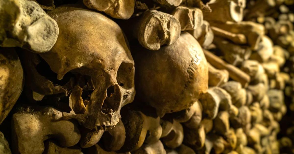 A bone wall was discovered at Saint Bavo’s Cathedral in Ghent, Belgium