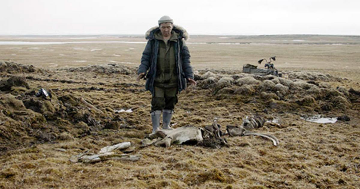 The scientists dug out the remains of the mammoth skeleton from the thawing permafrost and discovered a nearby weapons making site.  Source: Innokenty Pavlov