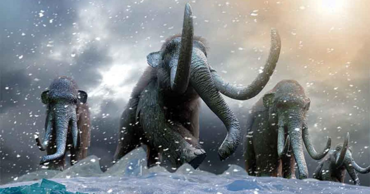 Woolly Mammoth Tusk Reveals Uber-distance Migrations, Says Study