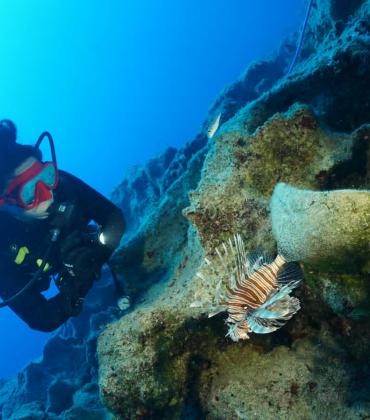Oldest Shipwreck 