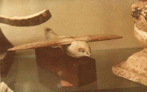  The Saqqara Bird is a bird-shaped artifact made of sycamore wood, discovered during the 1898 excavation of the Pa-di-Imen tomb in Saqqara, Egypt. (Source: Wikipedia)