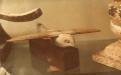  The Saqqara Bird is a bird-shaped artifact made of sycamore wood, discovered during the 1898 excavation of the Pa-di-Imen tomb in Saqqara, Egypt. (Source: Wikipedia)