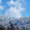 himachalstory's picture