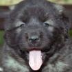 Profile picture for user Julie Bubev