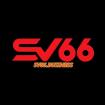 Profile picture for user sv66business