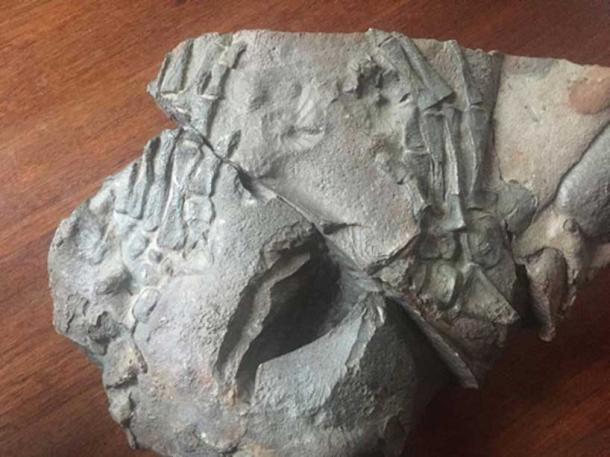 Scientists claim this 130 million years old fossil is a pair of human hands. 