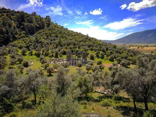 The ruins of the Temple of Zeus Lepsynos in the ancient city of Euromos in Turkey. (Gargarapalvin / CC BY 4.0)