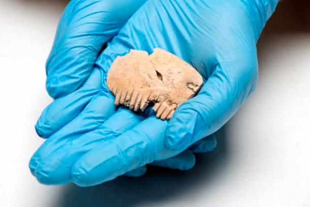 The 2000–2500-year-old object appears to be a comb from the Iron Age. (MOLA)