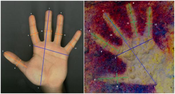 The recent study on the amount of children’s art in the total corpus of known prehistoric art took particular care to separate juvenile hands and marks from adult ones, but this isn’t 100% accurate for numerous reasons. ! (The Journal of Archaeological Sciences)